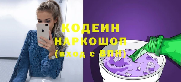крисы Кулебаки