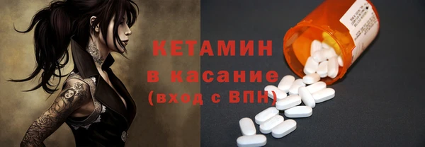 крисы Кулебаки