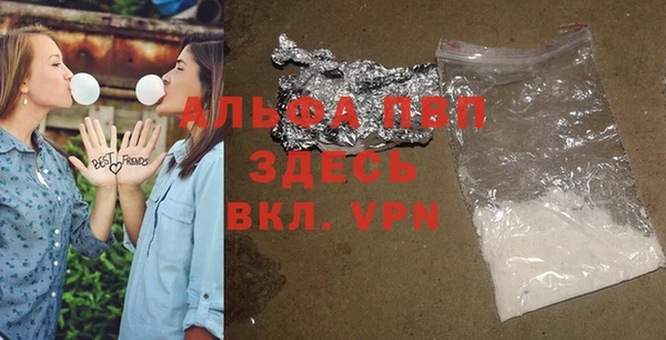 крисы Кулебаки