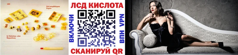 Купить закладки  Прохладный  ЛСД экстази кислота 