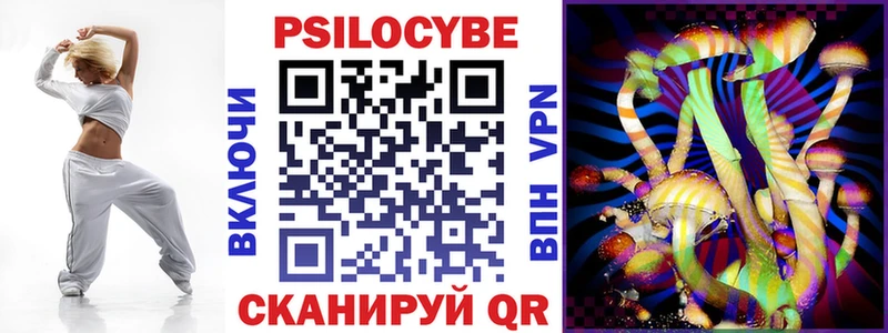 Купить  Прохладный  Галлюциногенные грибы Psilocybe 